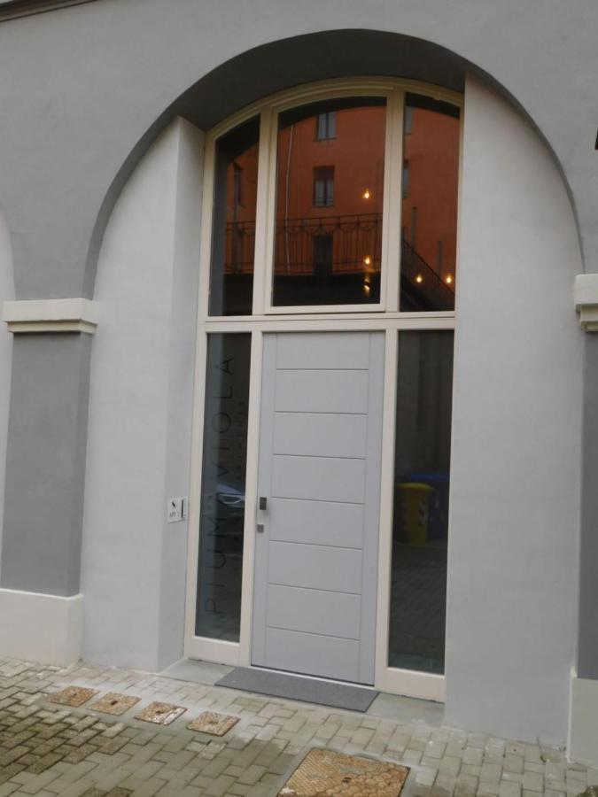 Piumaviola Beds & Apartments Parma Bagian luar foto